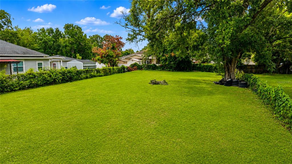 A large, grassy backyard features a mature tree and a hedge-lined fence — 2743 LUCILLE STREET, KISSIMMEE, FL