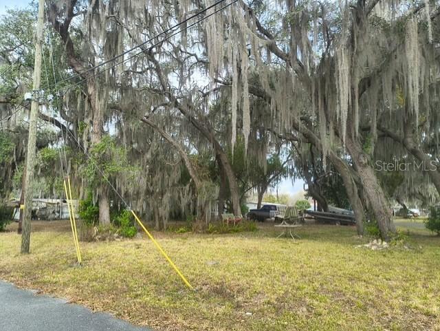 A grassy lot features several large trees draped in Spanish moss and a utility pole — 4734 N APACHE TRAIL, HERNANDO, FL