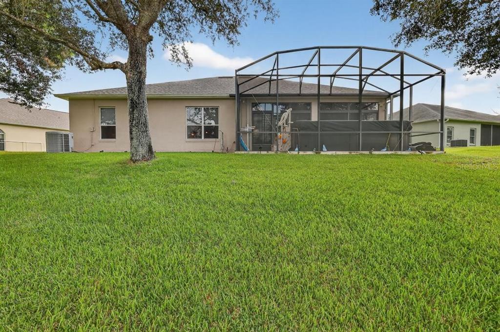 The backyard of a house features a large lawn, a tree, and a screened-in patio — 3606 MULBERRY GROVE LOOP, LEESBURG, FL
