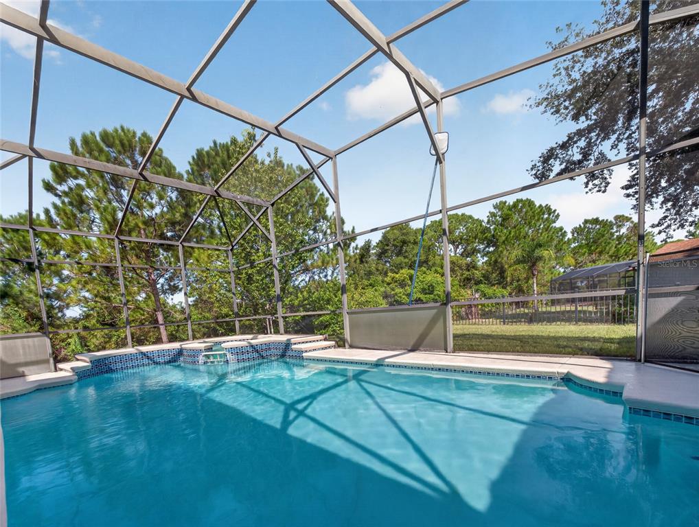 A swimming pool with a spillover spa is enclosed by a screened lanai — 219 BLUE HERON COURT, DAVENPORT, FL