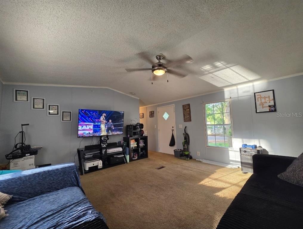 A living room with light blue walls, tan carpet, a ceiling fan, and a television — 7473 135TH CIRCLE, LIVE OAK, FL