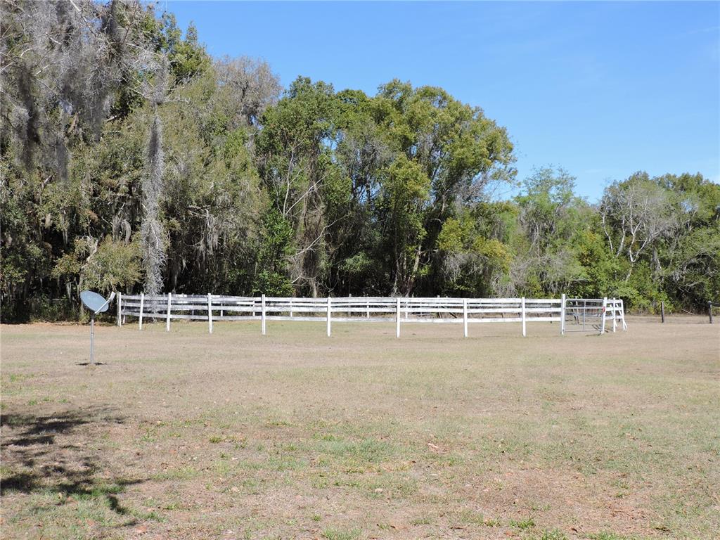 A white wooden fence encloses a grassy pasture backed by a dense line of trees — 148 DENVER ROAD, CRESCENT CITY, FL