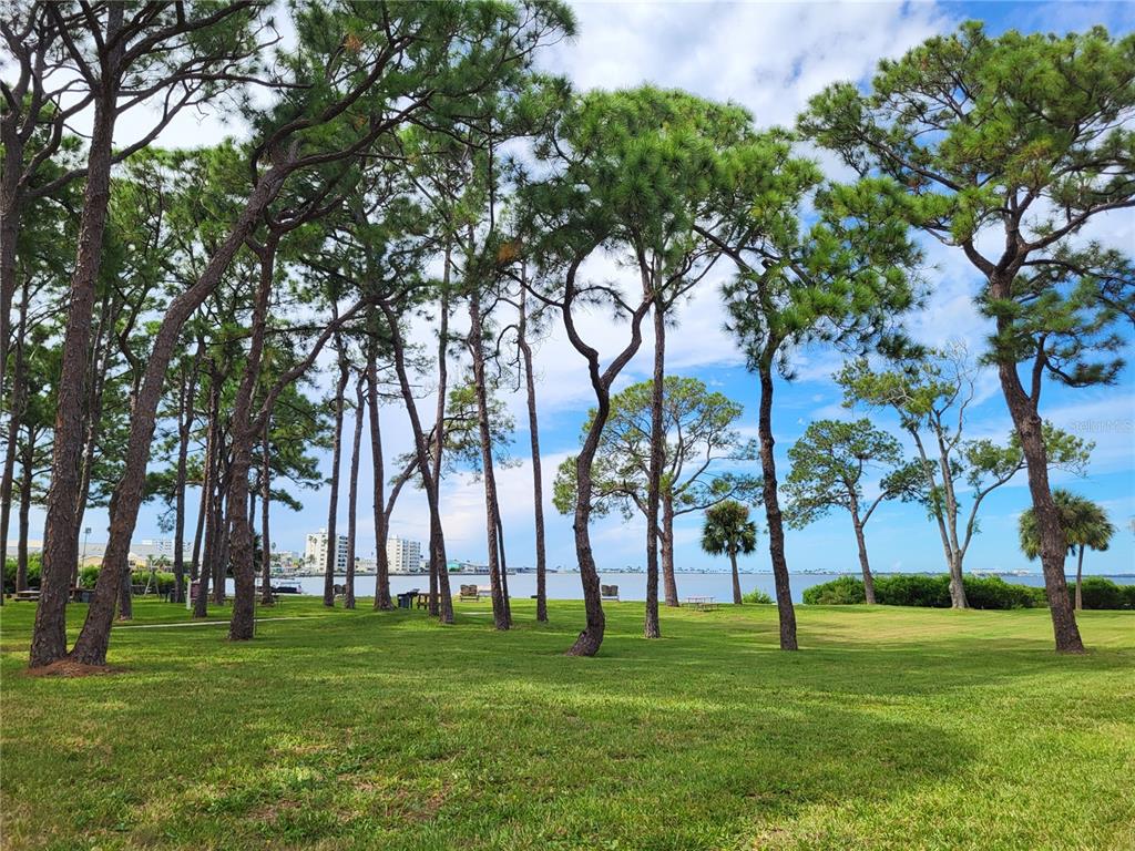 2700 BAYSHORE BOULEVARD UNIT 4102, DUNEDIN, FL — photo 4 of 27