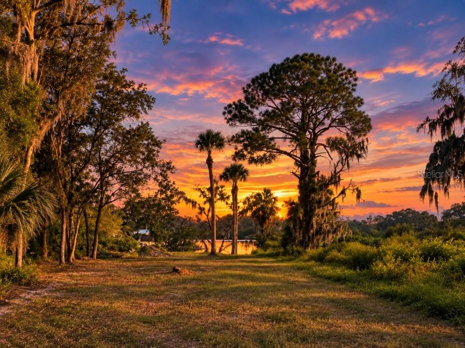 TIBERIUS TRAIL, NEW PORT RICHEY, FL — photo 2 of 6