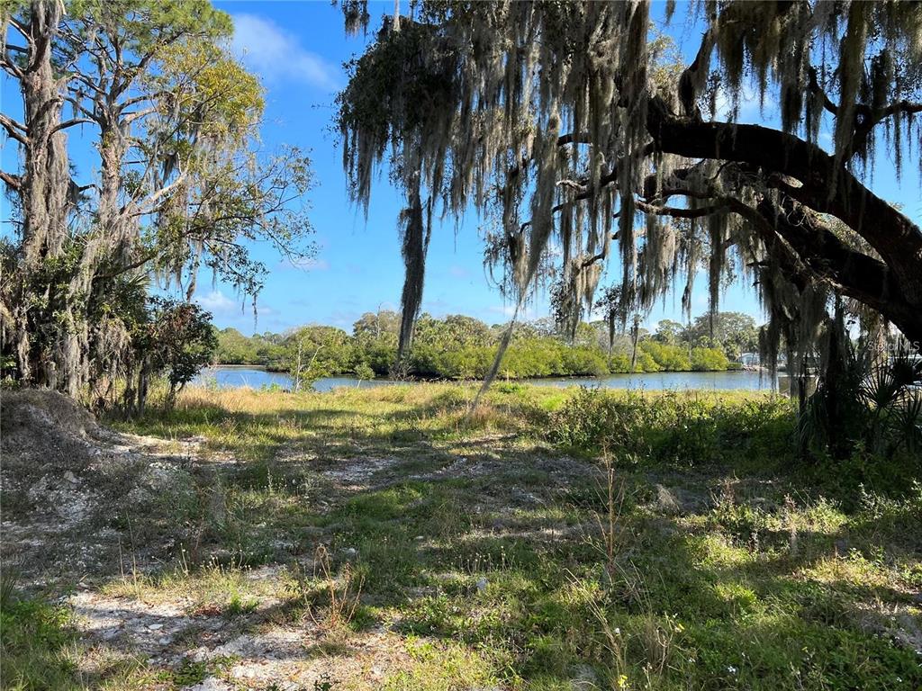 TIBERIUS TRAIL, NEW PORT RICHEY, FL — photo 3 of 6