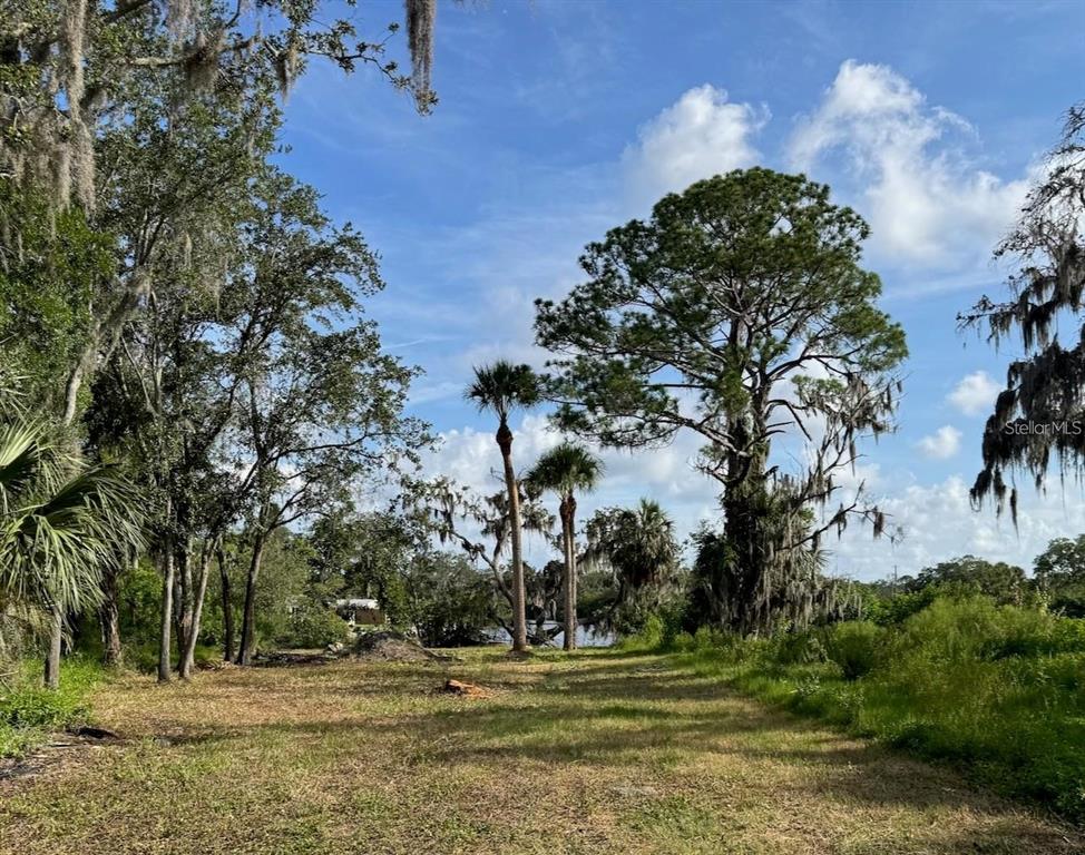 TIBERIUS TRAIL, NEW PORT RICHEY, FL — photo 4 of 6