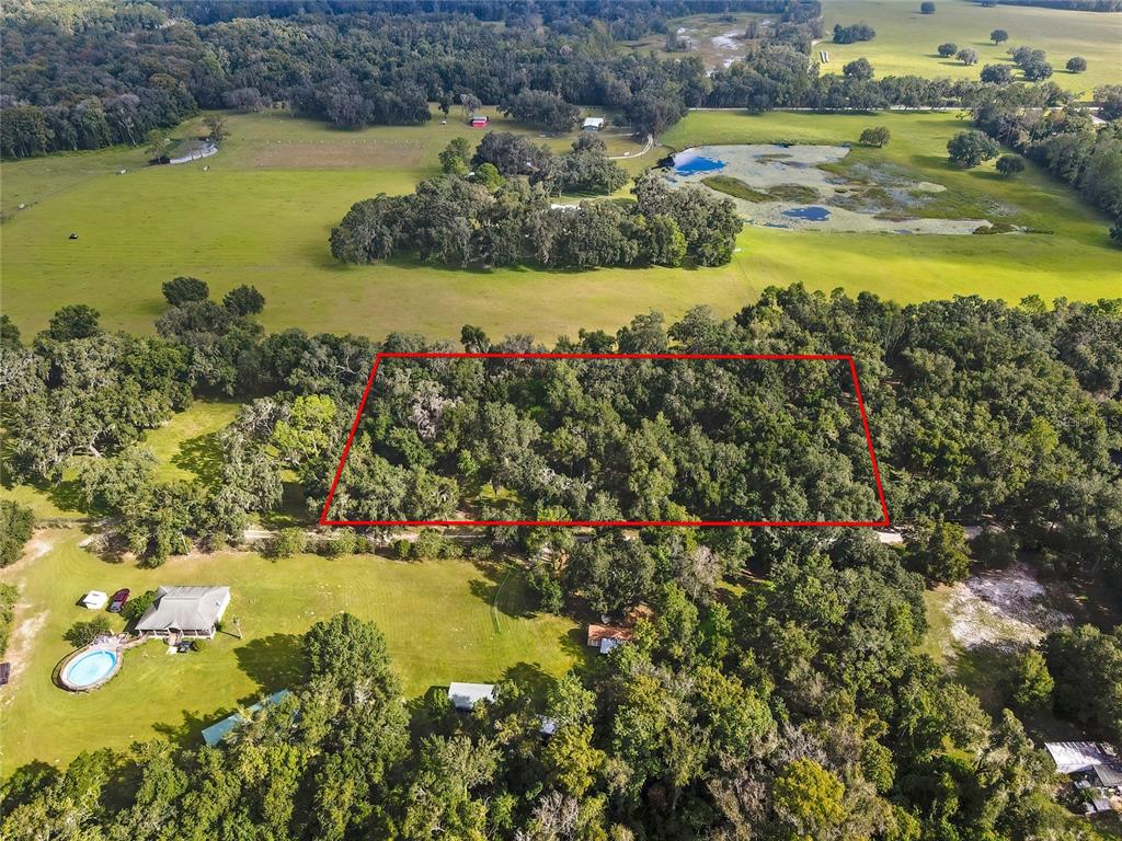 17445 PALMER LANE, SPRING HILL, FL — photo 2 of 13