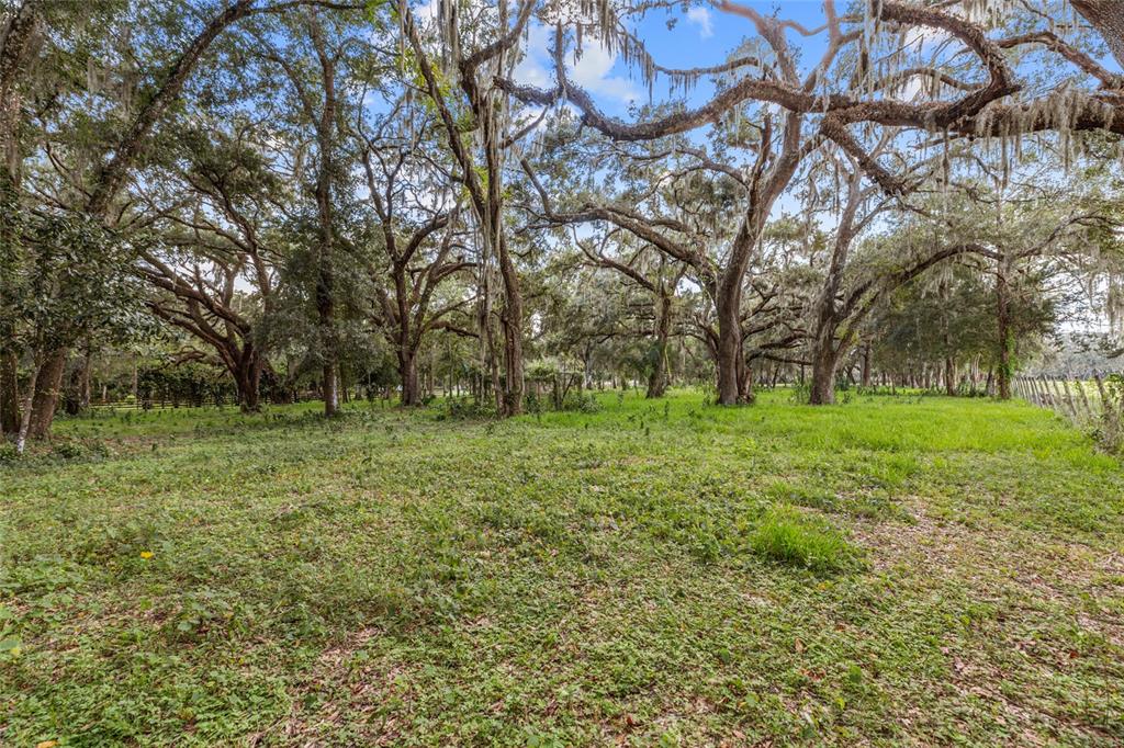 17445 PALMER LANE, SPRING HILL, FL — photo 3 of 13