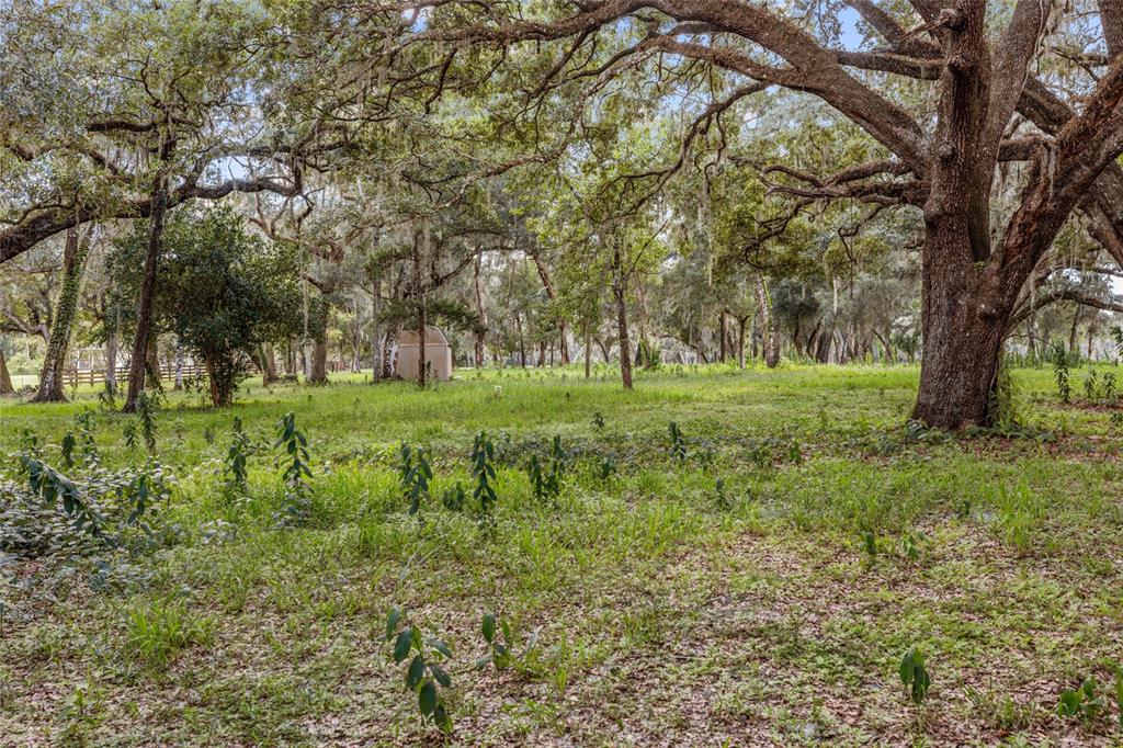 17445 PALMER LANE, SPRING HILL, FL — photo 4 of 13