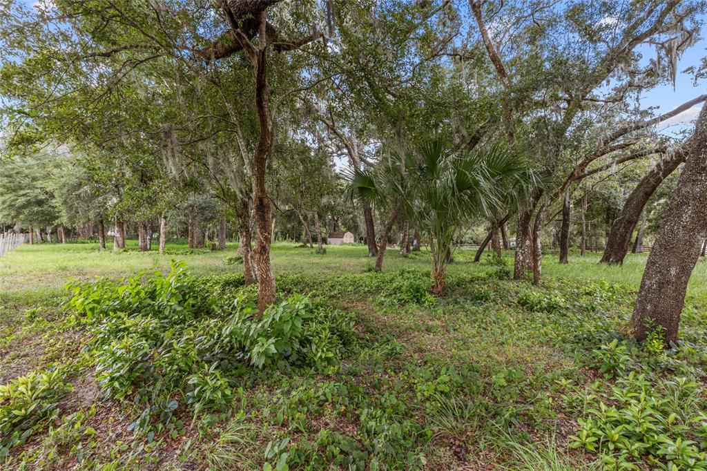 17445 PALMER LANE, SPRING HILL, FL — photo 5 of 13