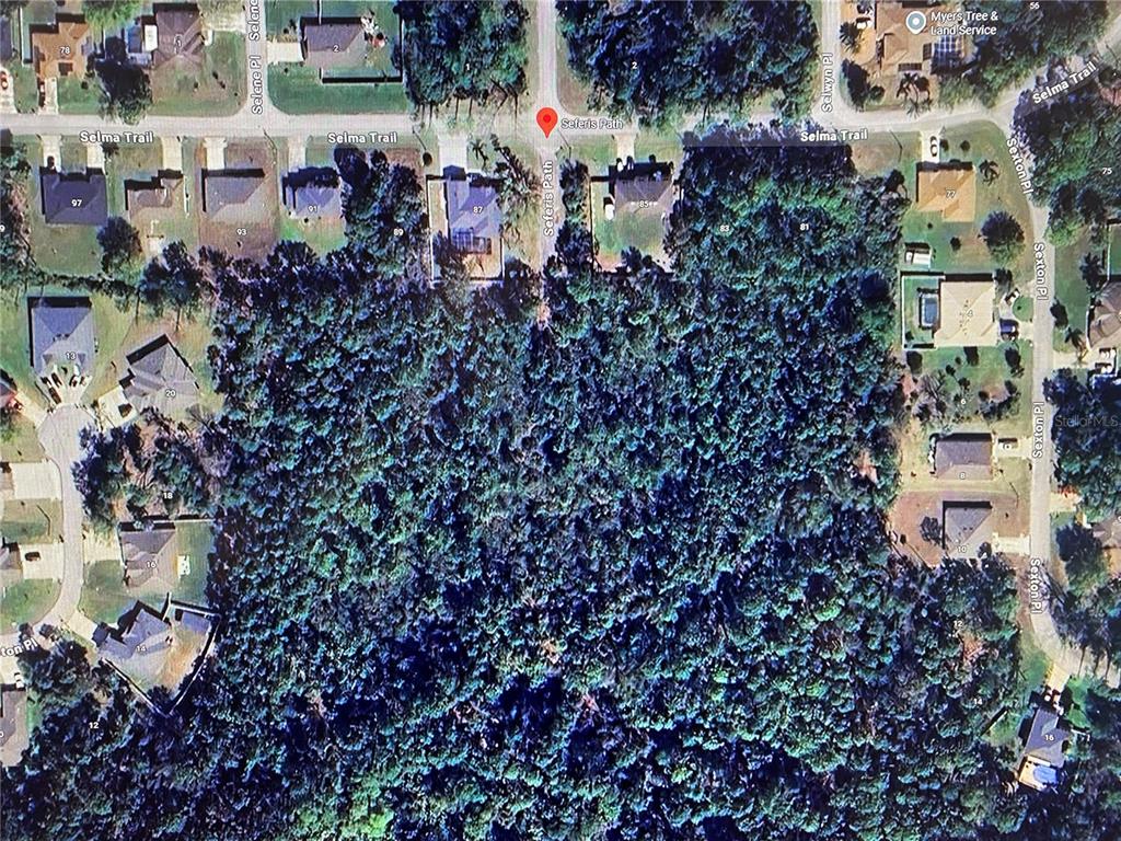 This is an aerial map view showing a wooded residential lot between several suburban streets — 000 SEFERIS PATH PATH, PALM COAST, FL