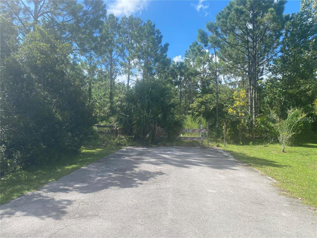 A paved driveway leads to a wooden gate surrounded by dense trees and vegetation — 000 SEFERIS PATH PATH, PALM COAST, FL