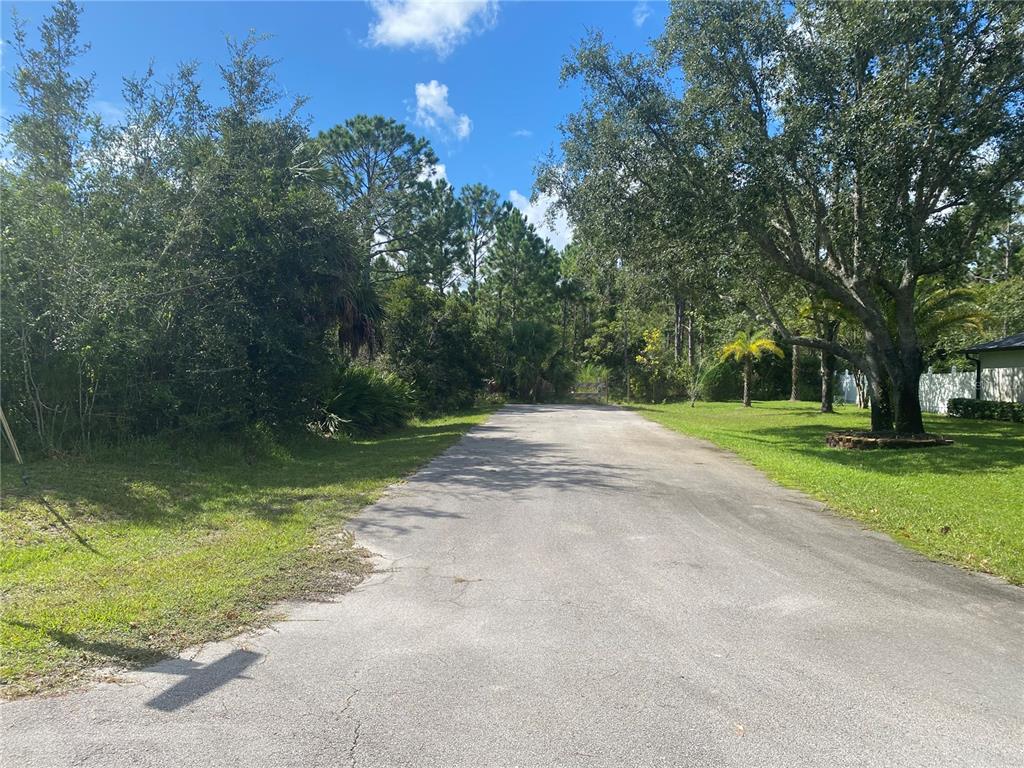 A paved road leads toward a wooded area with trees and grass on both sides — 000 SEFERIS PATH PATH, PALM COAST, FL