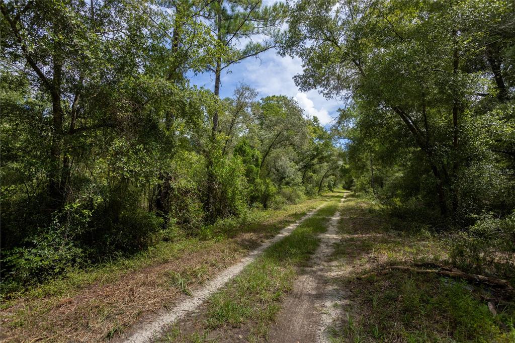 0 NE 81ST STREET, BRONSON, FL — photo 2 of 11