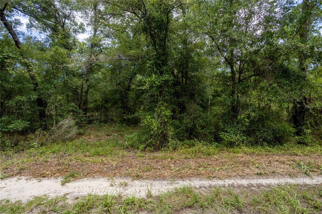 0 NE 81ST STREET, BRONSON, FL — photo 4 of 11