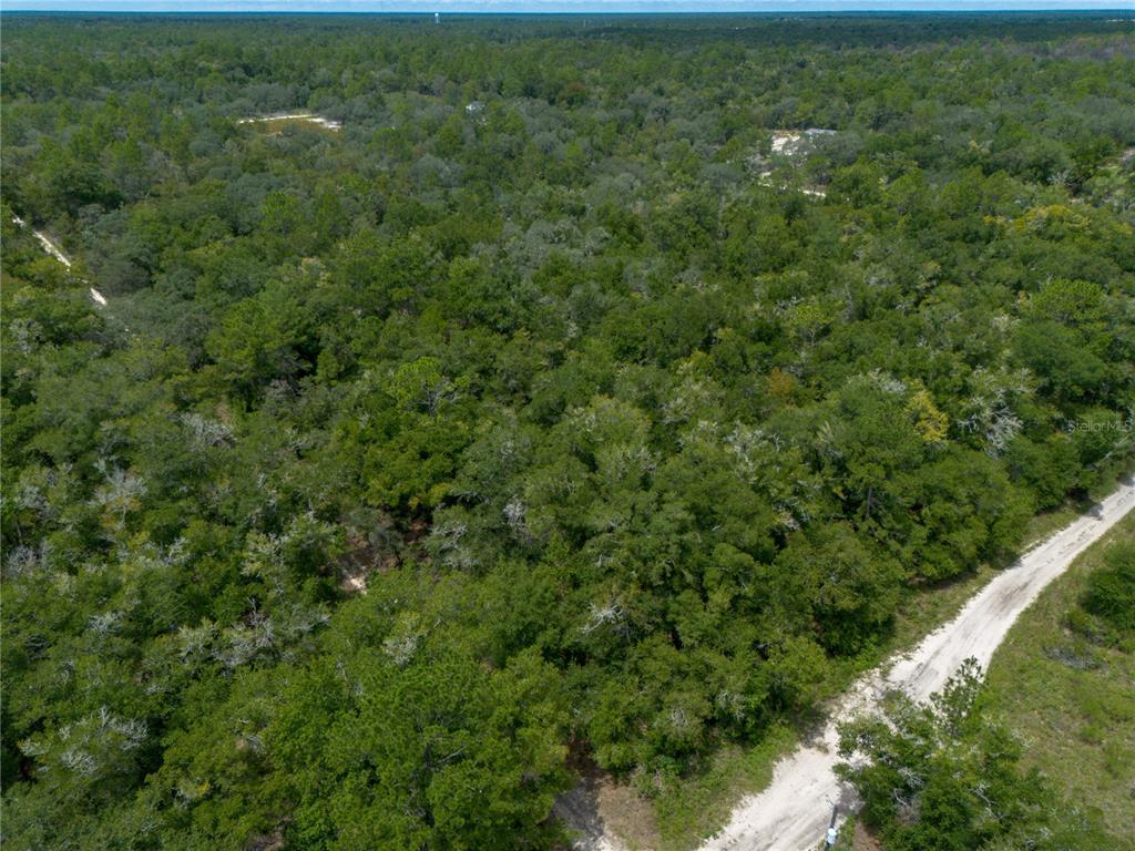 0 NE 81ST STREET, BRONSON, FL — photo 5 of 11