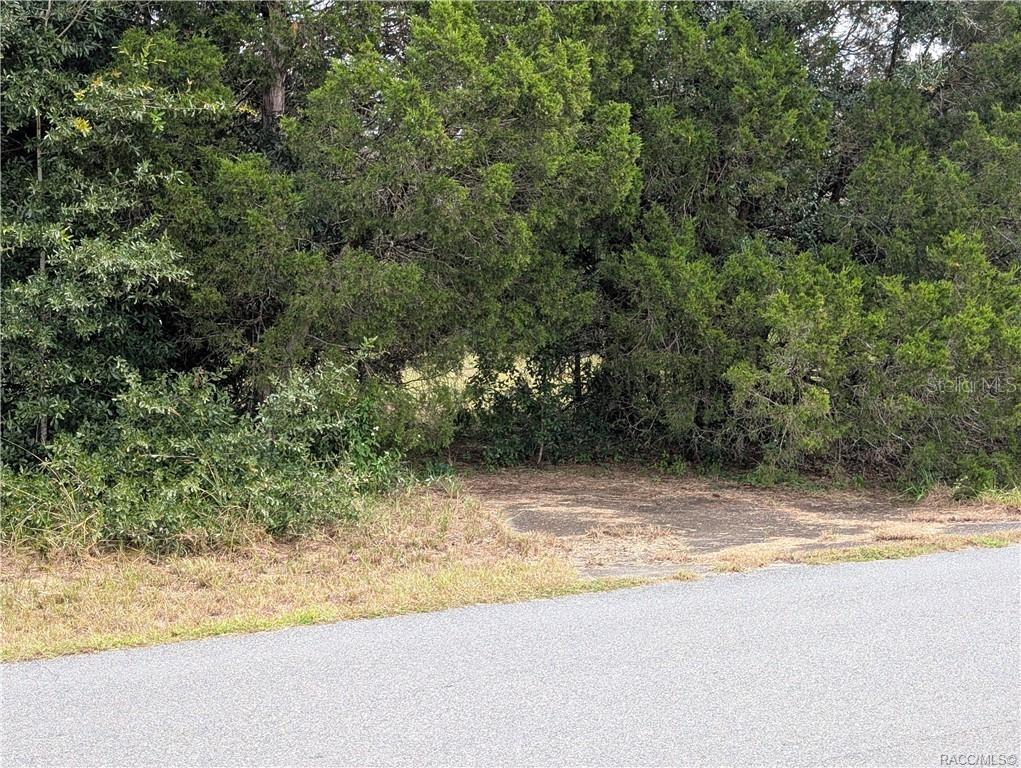 10133 S APPALOOSA AVENUE, FLORAL CITY, FL — photo 2 of 8