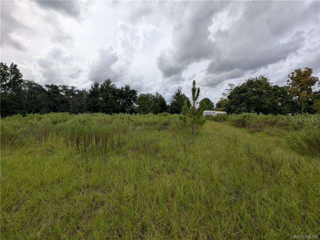 10133 S APPALOOSA AVENUE, FLORAL CITY, FL — photo 3 of 8