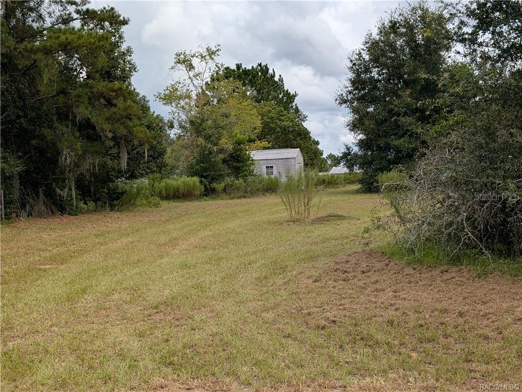 10133 S APPALOOSA AVENUE, FLORAL CITY, FL — photo 4 of 8