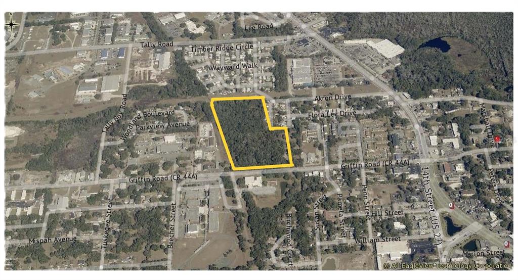 An aerial map view shows a wooded lot outlined in yellow near a road intersection — GRIFFIN ROAD, LEESBURG, FL