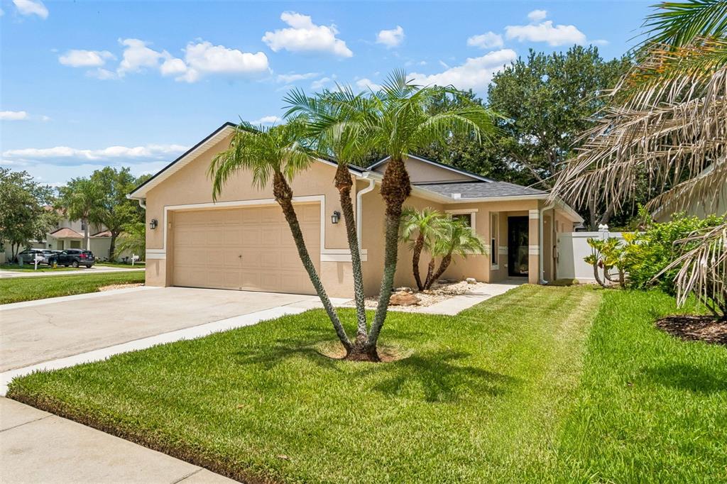 A tan single-story house with a two-car garage and palm trees in the front yard — 32323 FISH HOOK LOOP, WESLEY CHAPEL, FL