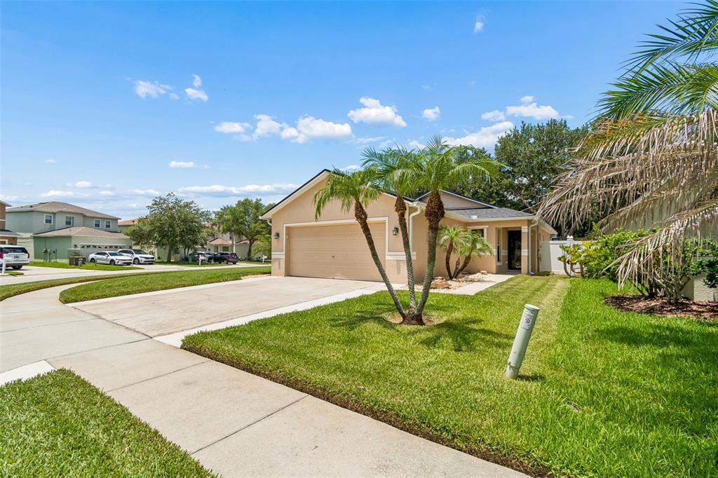 A tan single-story house with a two-car garage and palm trees in the front yard — 32323 FISH HOOK LOOP, WESLEY CHAPEL, FL