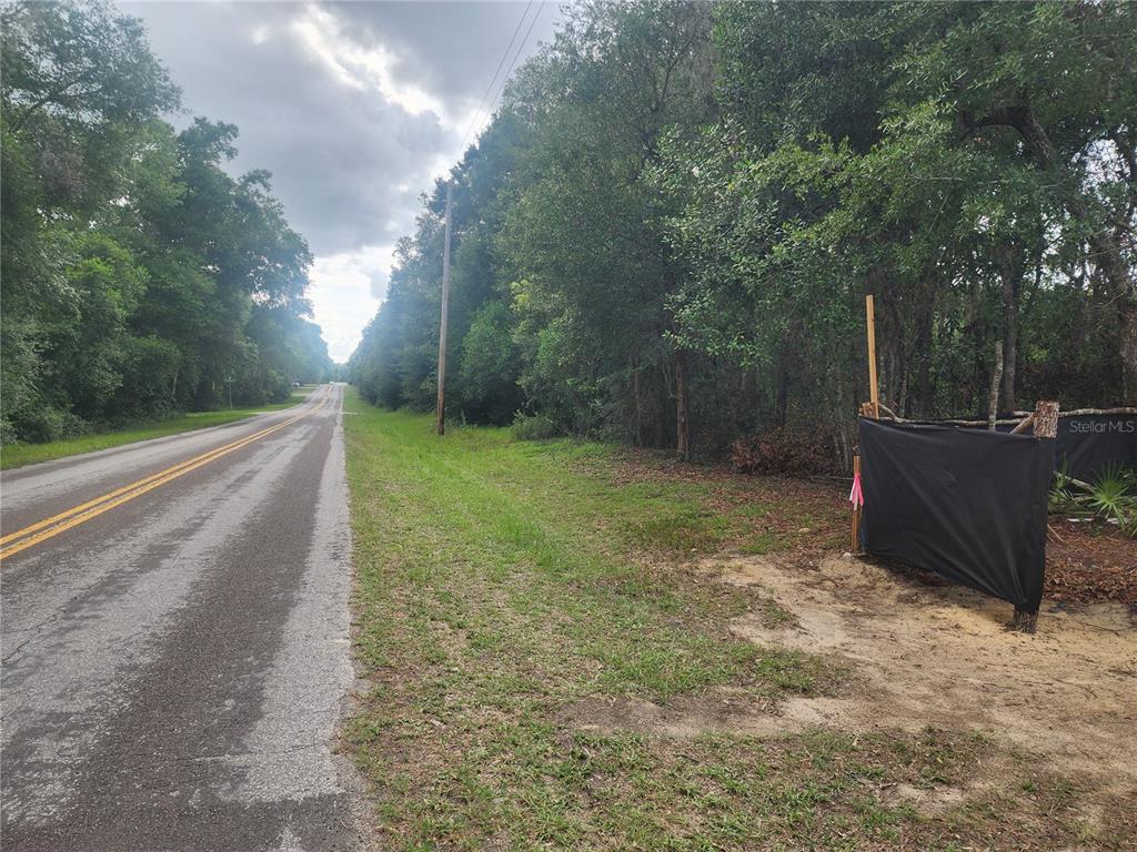A paved road runs alongside a wooded lot with a black silt fence — 3919 E ORCHID STREET, HERNANDO, FL