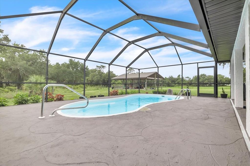 A screened-in patio features a kidney-shaped swimming pool with a concrete deck and metal railing — 4806 SW COUNTY ROAD 769, ARCADIA, FL