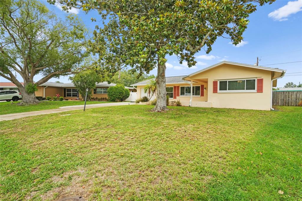 A single-story house with a tan exterior, red shutters, and a large tree in front — 2169 PINE RIDGE DRIVE, CLEARWATER, FL