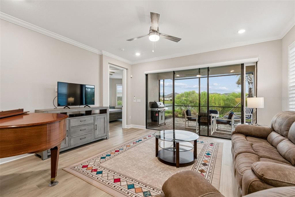 A living room features a piano, a television console, a sofa, and sliding glass doors — 4618 ROSATTI ROAD, WESLEY CHAPEL, FL