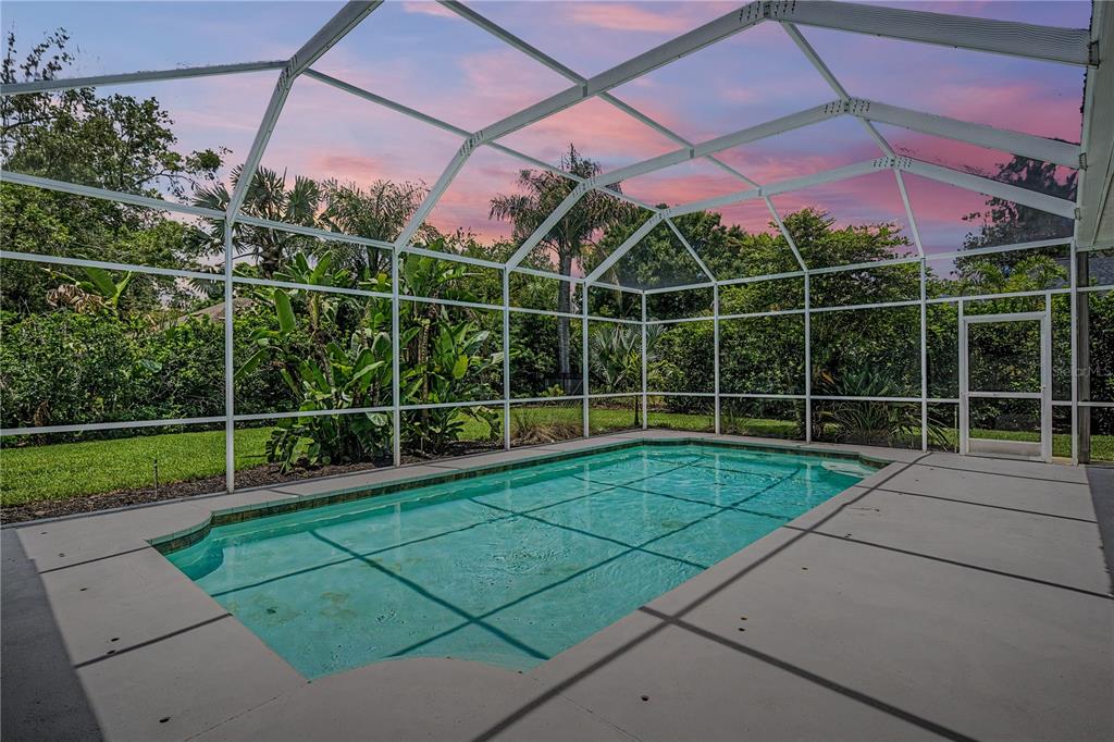 A rectangular swimming pool is enclosed by a white screen cage in a backyard setting — 3692 JOHNATHON AVENUE, PALM HARBOR, FL
