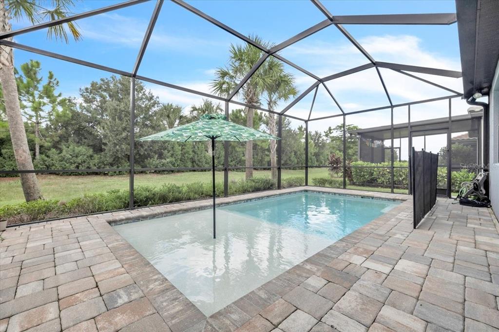 A screened-in patio features a rectangular swimming pool with a shallow tanning ledge and umbrella — 7538 SUMMERLAND COVE, LAKEWOOD RANCH, FL