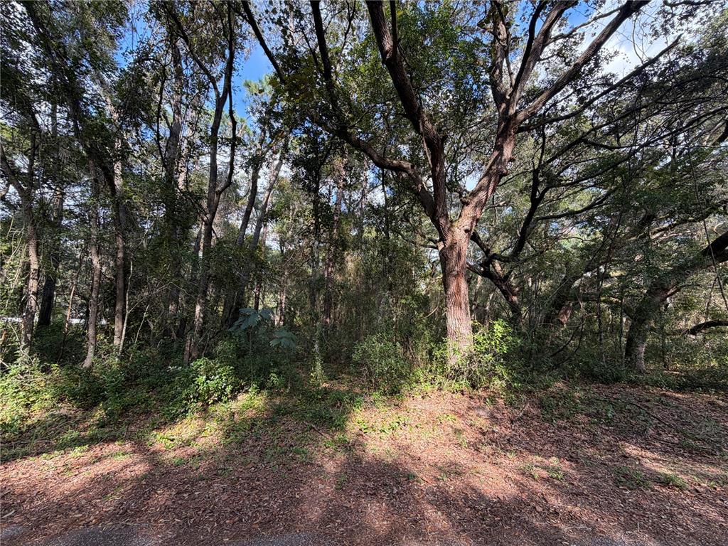00 SE 169TH CT, OCKLAWAHA, FL — photo 4 of 7