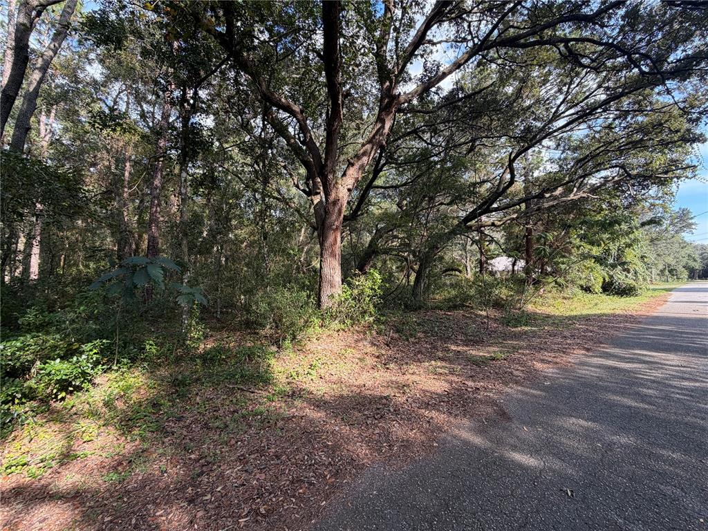 00 SE 169TH CT, OCKLAWAHA, FL — photo 5 of 7