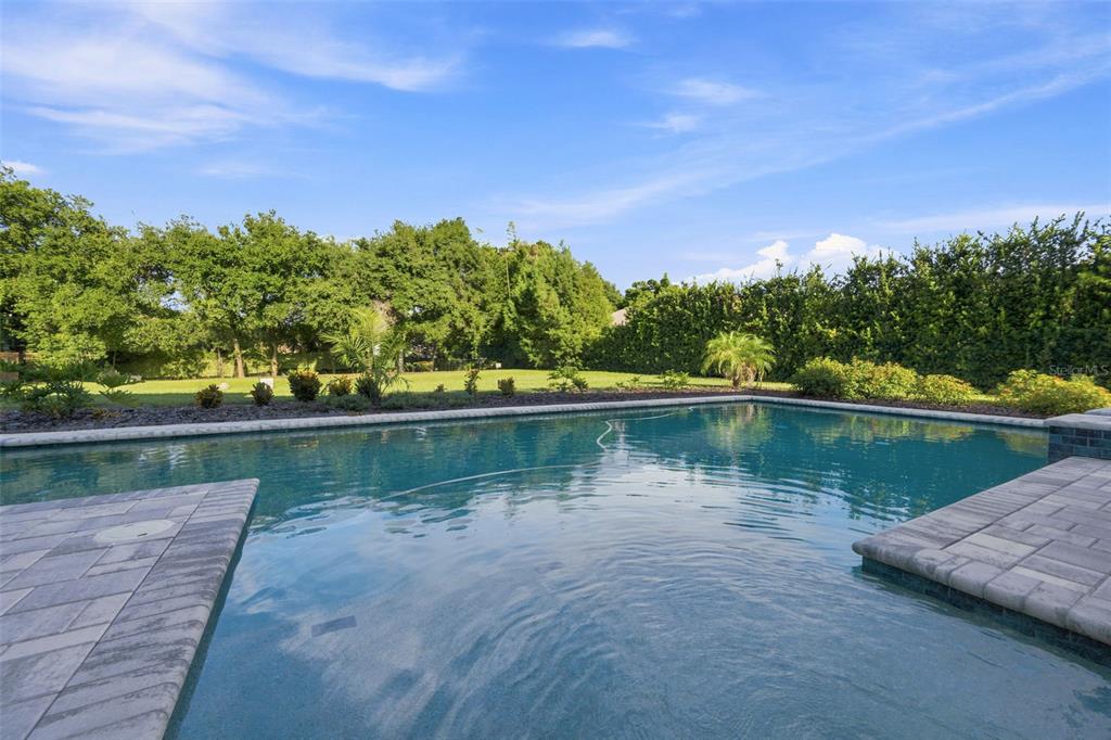 A rectangular swimming pool sits in a backyard with a stone patio and lush landscaping — 1422 OAK MEADOW POINT, NEW PORT RICHEY, FL