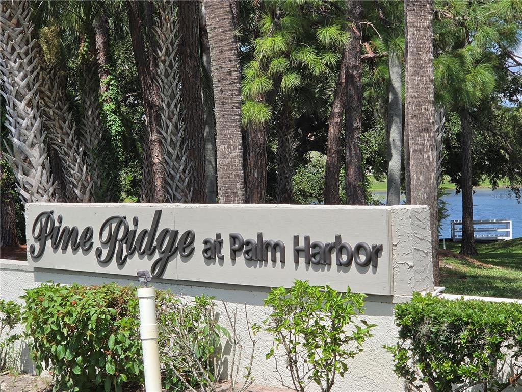 1700 PINE RIDGE WAY E UNIT C1, PALM HARBOR, FL — photo 2 of 39