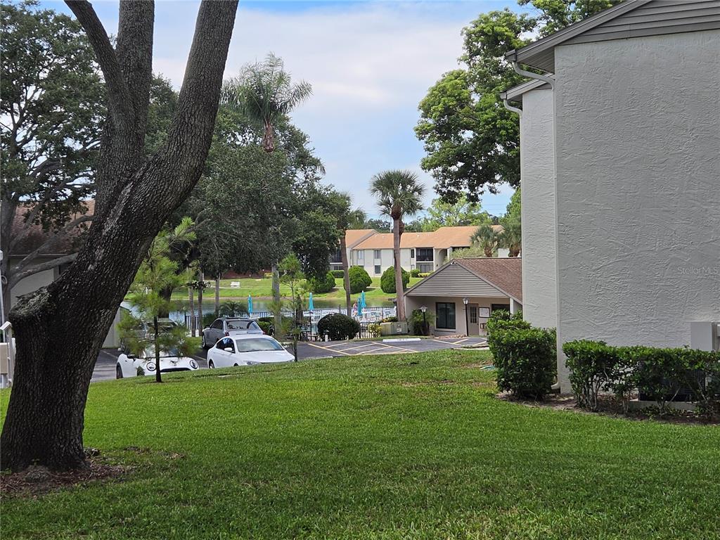 1700 PINE RIDGE WAY E UNIT C1, PALM HARBOR, FL — photo 5 of 39