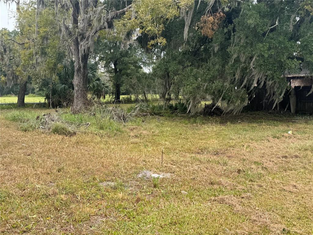 A grassy, partially cleared lot features large trees draped with Spanish moss — 108 E MARKET ROAD, STARKE, FL