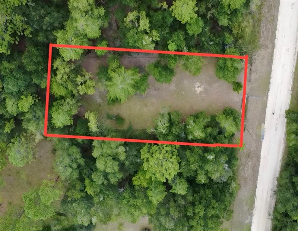 4717 NE 141ST AVENUE, WILLISTON, FL — photo 2 of 5