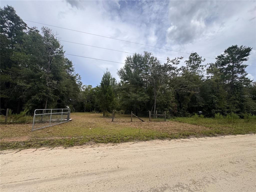 4717 NE 141ST AVENUE, WILLISTON, FL — photo 3 of 5