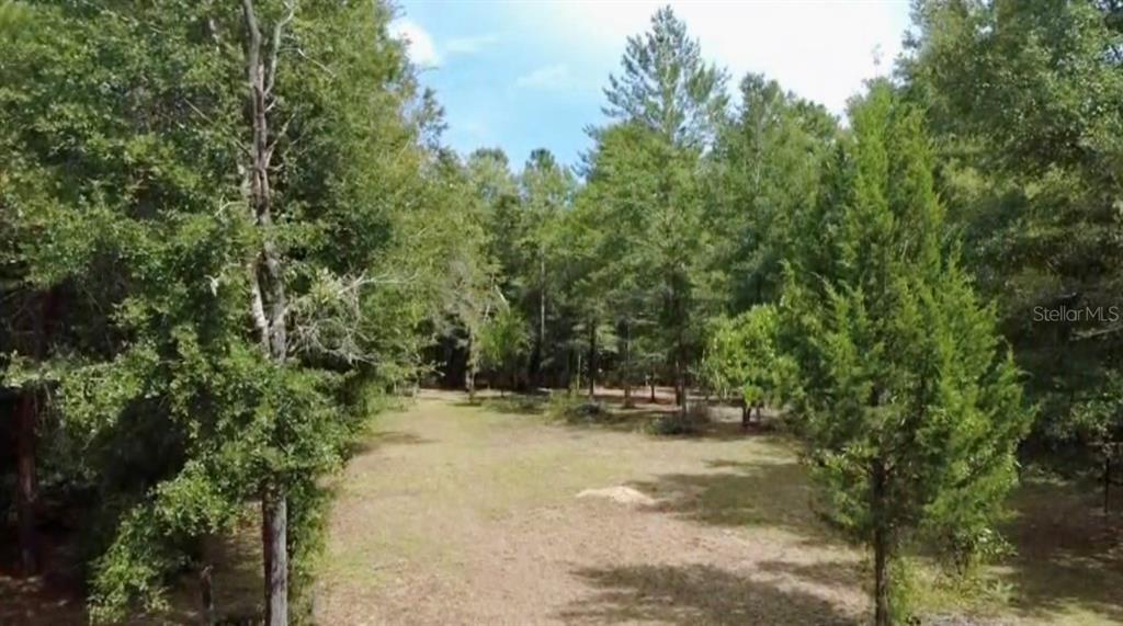 4717 NE 141ST AVENUE, WILLISTON, FL — photo 4 of 5