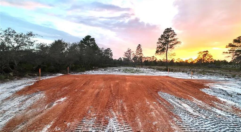 0 WOODSTORK WAY
