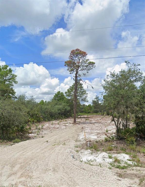 A dirt driveway leads into a cleared, sandy lot featuring a tall pine tree — 0 WOODSTORK WAY, FROSTPROOF, FL