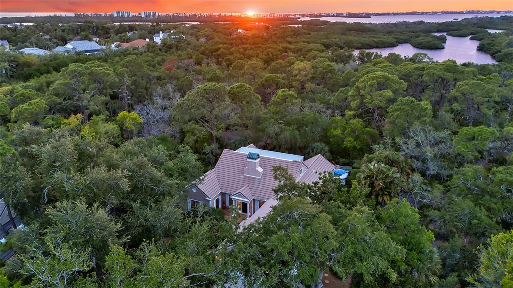 An aerial view shows a house with a pool, spa, and surrounding trees — 156 BISHOPS COURT ROAD, OSPREY, FL