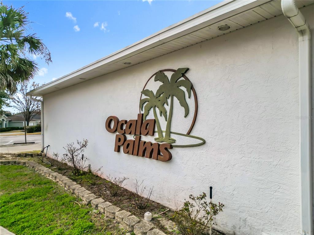 A light-colored single-story house with a curved driveway, a palm tree, and a front yard — 5375 NW 26TH LANE, OCALA, FL
