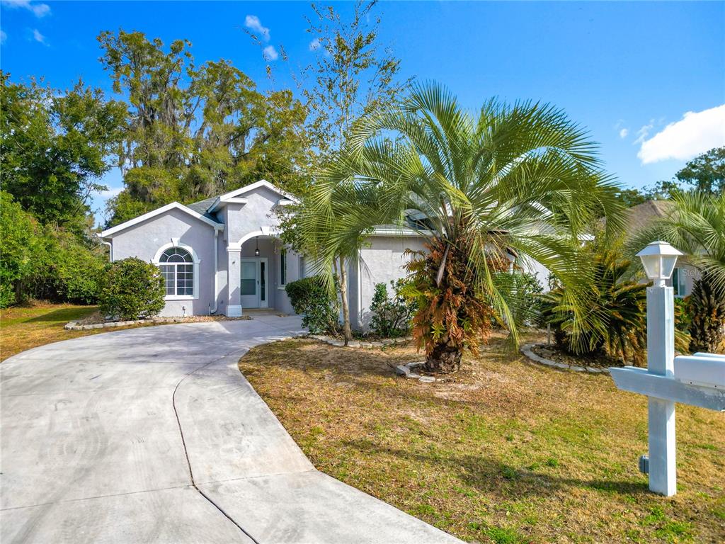 A light gray single-story house features a front arched window and two large palm trees — 5375 NW 26TH LANE, OCALA, FL