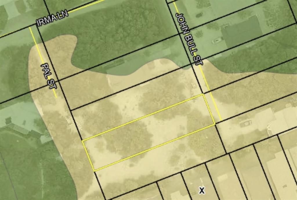 This is a map showing a vacant residential lot outlined in yellow near street intersections — 2728 JOHN BULL STREET S, FLAGLER BEACH, FL
