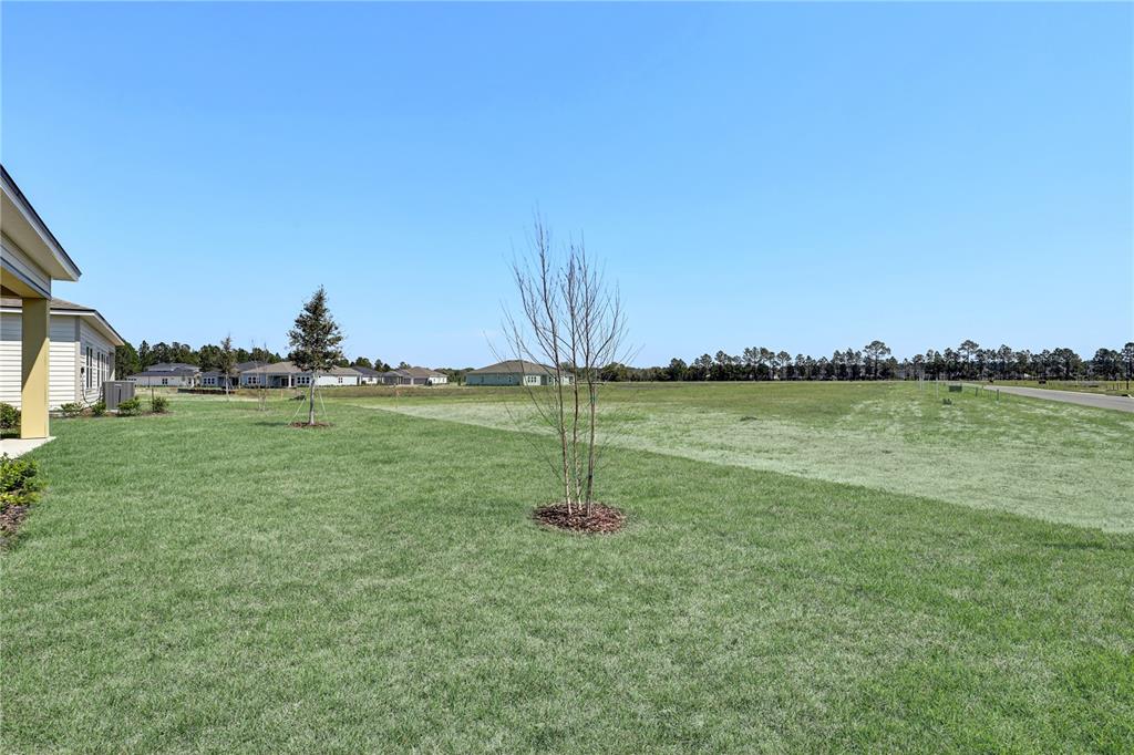 A view of a grassy yard with young trees next to a suburban house — 106 BRICKSTONE TRACE, ST AUGUSTINE, FL
