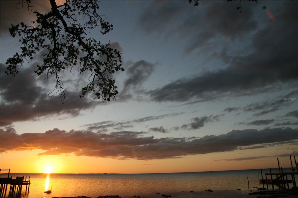 A sunset view over a calm body of water with a silhouetted tree and docks — 000 BLUFF BOULEVARD, HOLIDAY, FL