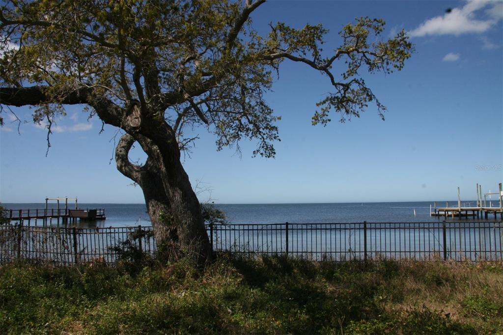 A large tree stands behind a metal fence overlooking a body of water with docks — 000 BLUFF BOULEVARD, HOLIDAY, FL